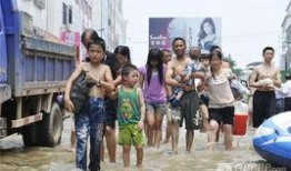 陈店镇本地爆料事件最新,揭秘背后真相，居民热议！