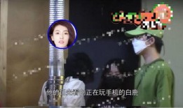 媒体爆料白鹿事件视频大全,揭秘背后真相与争议