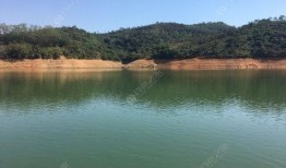 三坑水库爆料最新消息视频